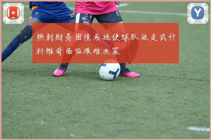热刺财务困境或迫使球队放走武什科维奇面临艰难决策